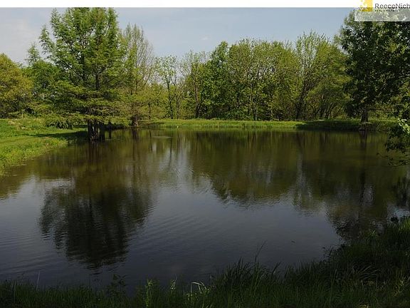 View of pond with private timber behind