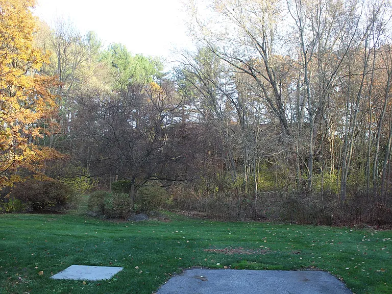 lots of private outdoor space