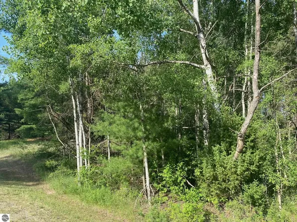 33 Road, Cadillac, MI 49601