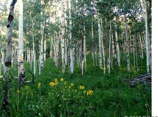1117 Empire Valley Dr, Leadville, CO 80461