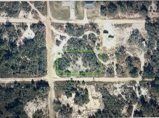 2880 W Cheviot Rd, Avon Park, FL 33825