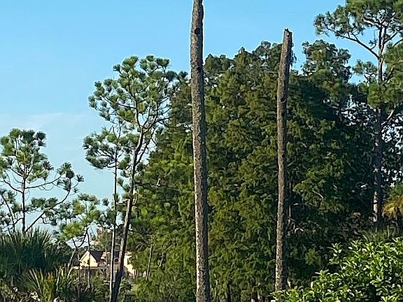 4th image of 113 Teal Pointe Ln