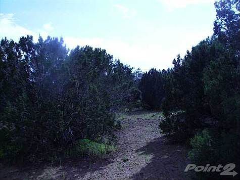 4th image of 8353 Bear Meadow Dr