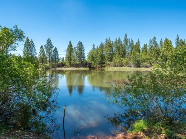 29822 State Highway 44, Shingletown, CA 96088