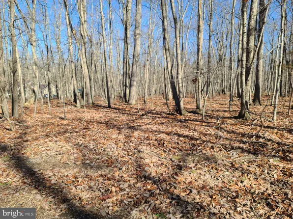 Claudes Dr, Rhoadesville, VA 22542