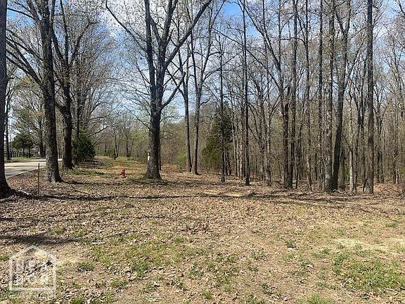 5th image of 18 Strawfloor Acres Rd