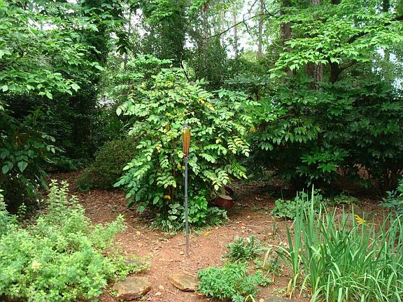 3rd image of 2745 Imperial Hills Dr