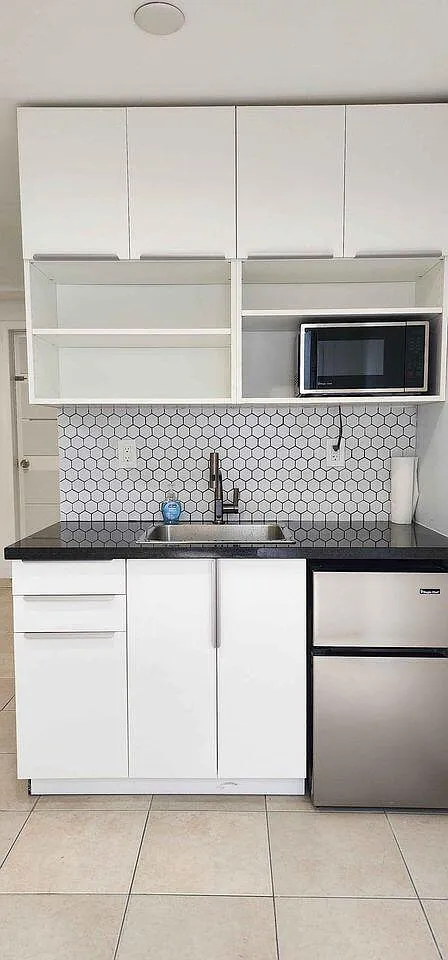 1 bed, 1.0 bath, 250 sqft, $1,100 — Photo 4