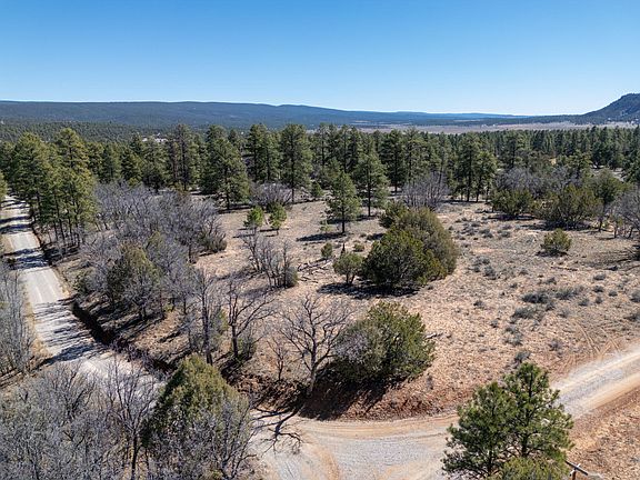4th image of 4-5 W Lobo Dr
