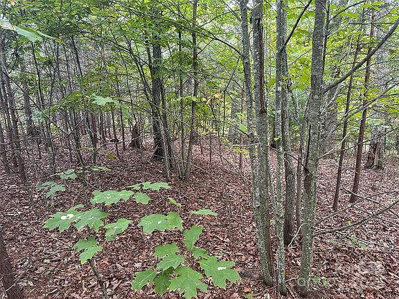 4th image of 333 Mossy Oak Trl #164