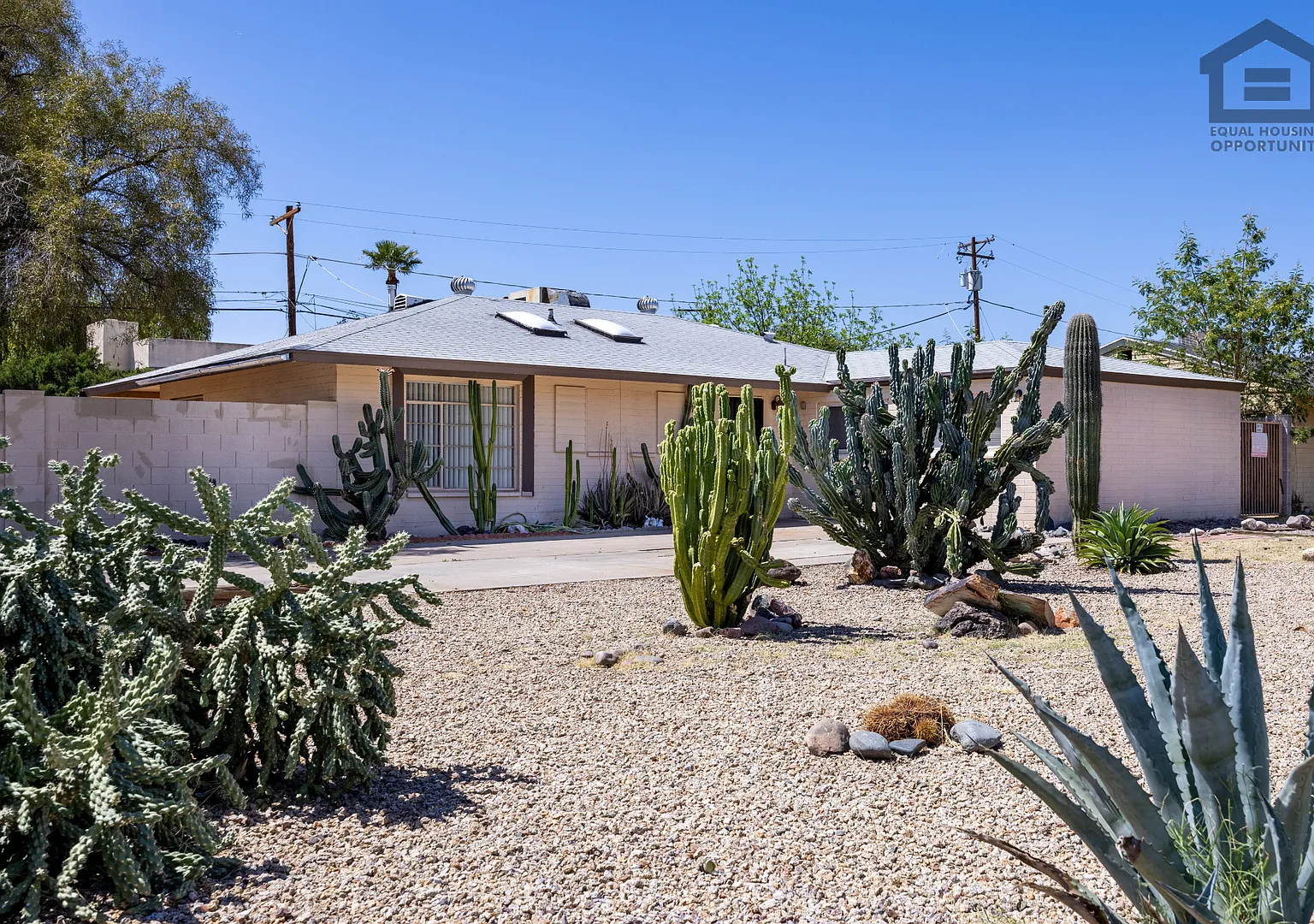 3bed/2bath House At 19th Ave/Camelback! Move-In Ready On 10/22/2026! -- No Hoa! Corner Lot! — Photo 4