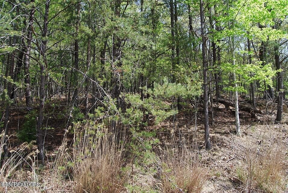 2nd image of 49 Chatham Ter Lot 88