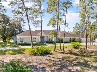 11200 Woodland Waters Blvd, Weeki Wachee, FL 34613