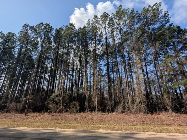 0 Craft Ln, Round O, SC 29474