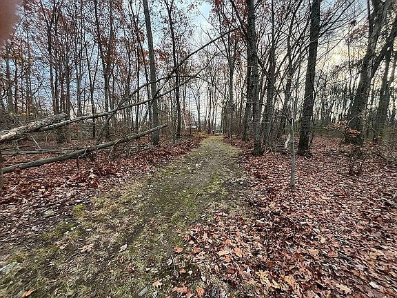 trail to the back property