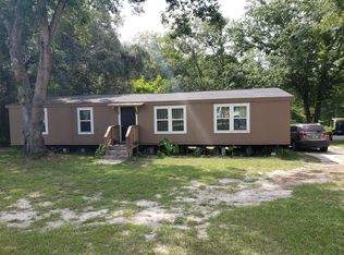 207 Peppermint Ave, Middleburg, FL 32068