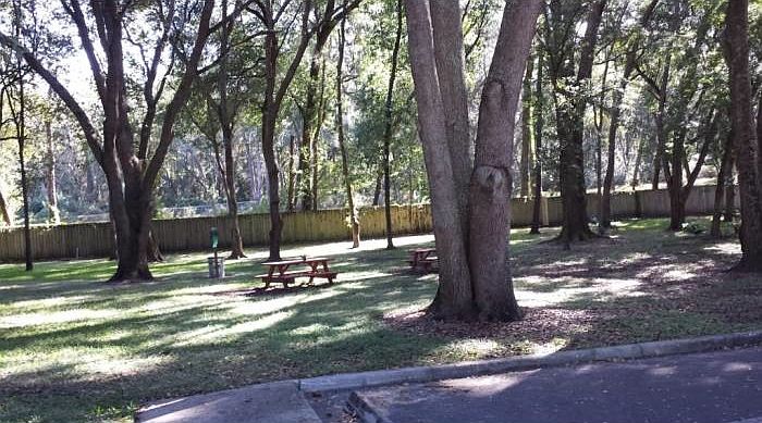 2nd image of 2236 Golden Oak Ln