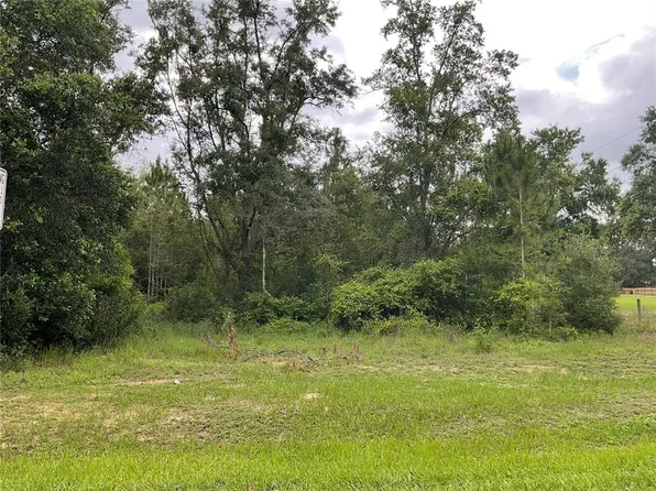 Howey Cross Rd, Clermont, FL 34715