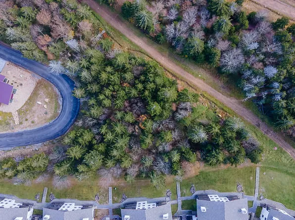 246 Red Spruce Dr, Snowshoe, WV 26209