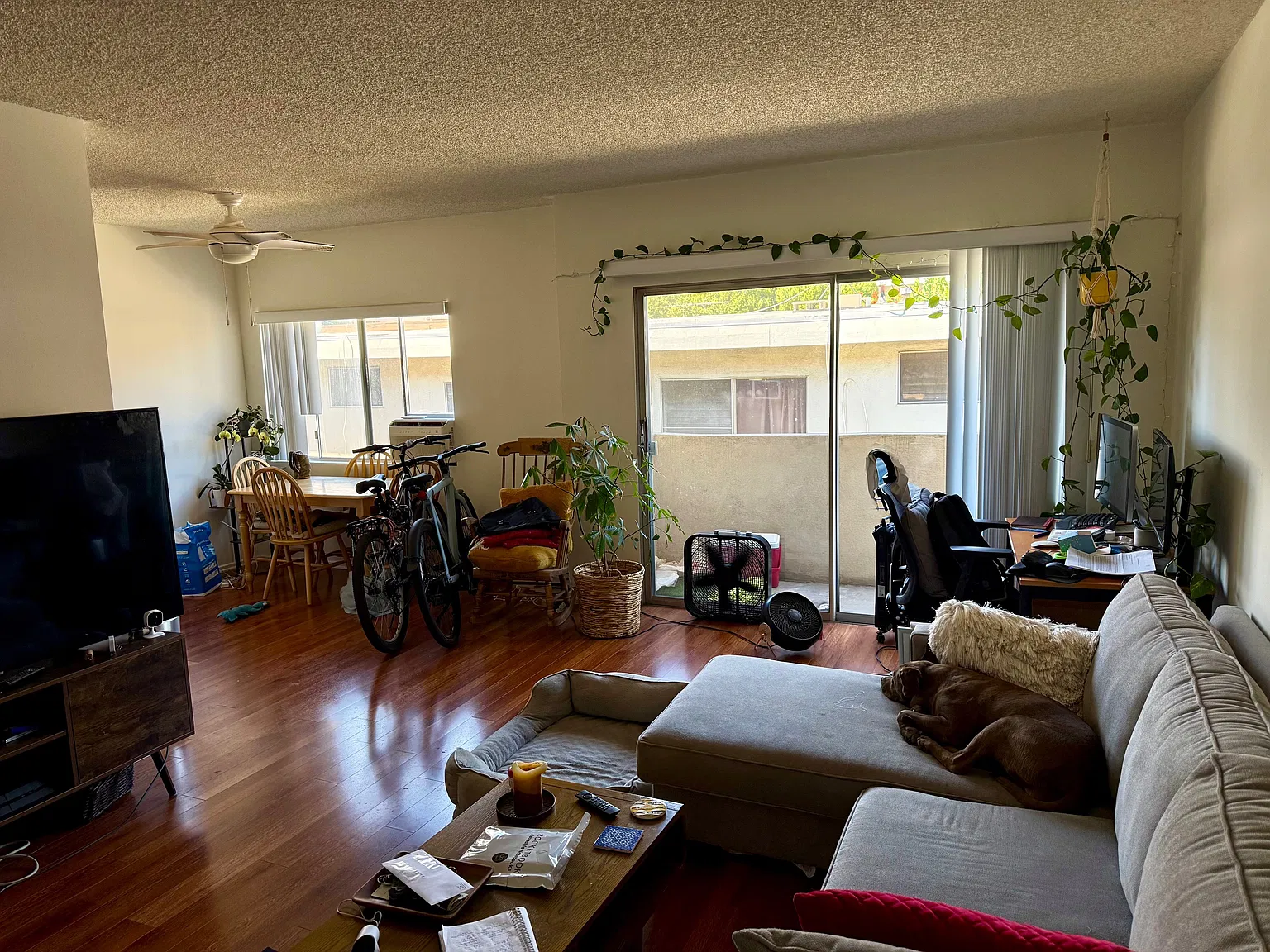1 bed, 700 sqft, $2,300 — Photo 3