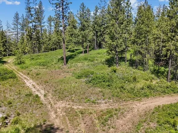 18 xxx Miner Road, Mead, WA 99021