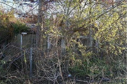 5th image of 8160 Welland St