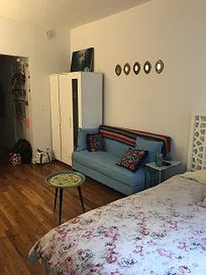 Rented by Eric Goodman Realty Corp | media 11