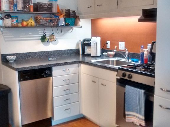 4th image of 604-36 S Washington Sq APT 1201