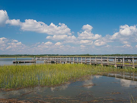 5th image of 43 River Marsh Ln