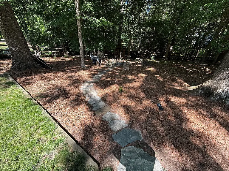 Backyard wooded area and outdoor fire pit