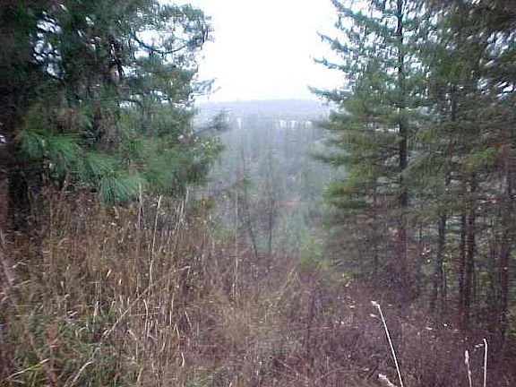 3rd image of 0 Cummings Canyon Way