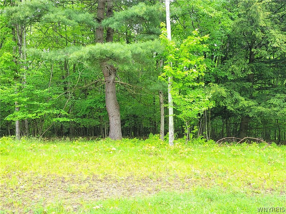0 County Road 24 LOT, Swain, NY 14884 MLS B1442244 Zillow