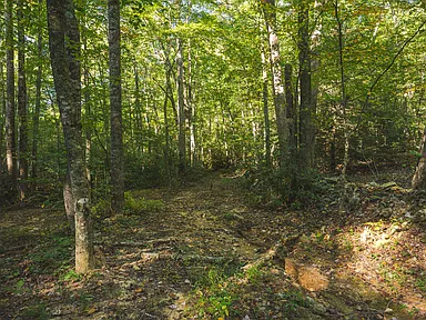 Property photo 25