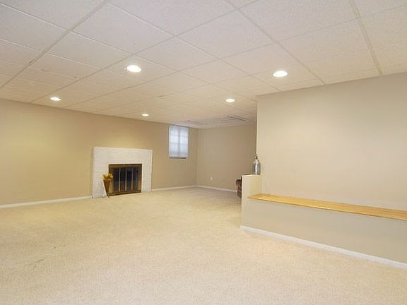 Full, Finished basement with 2nd fireplace