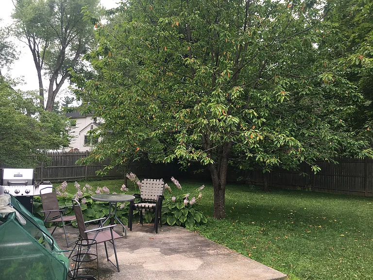 149 Castle Hill Ave — Photo 18