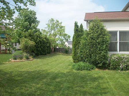 5th image of 310 Wintercreek Cir