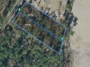 3 Vaught Rd, Galivants Ferry, SC 29544