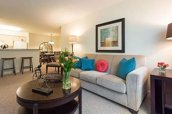 Living Rooms with Wall -to- Wall Carpeting