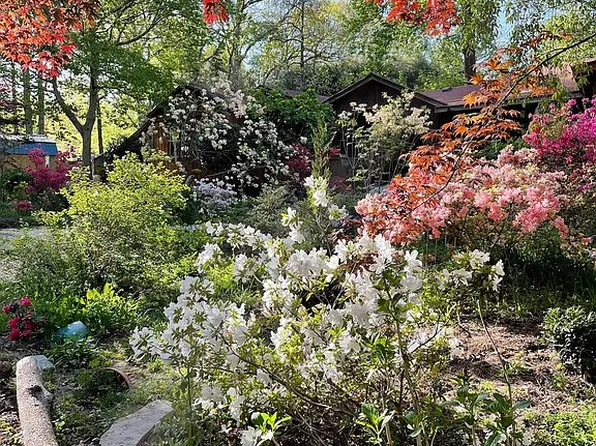 4026 Shelby Ave SE, Huntsville, AL 35801