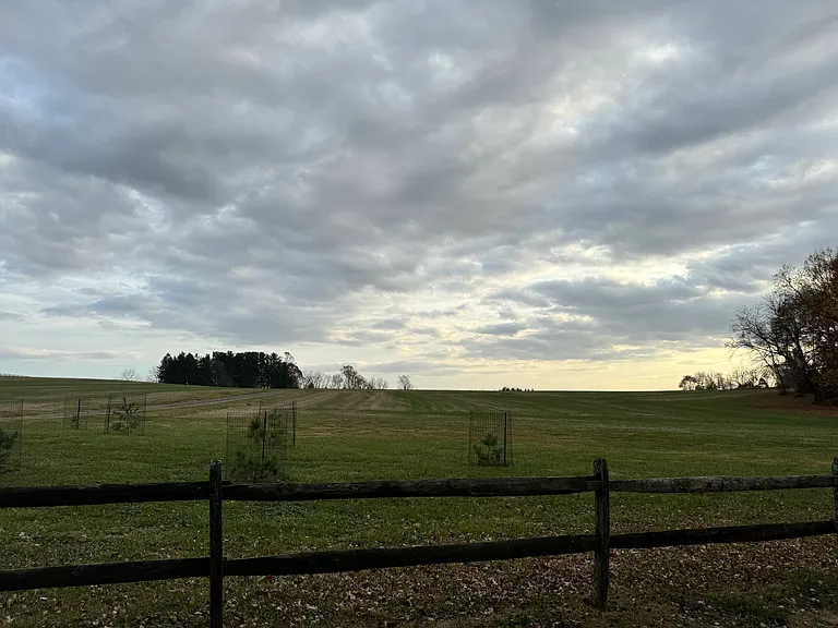 grounds