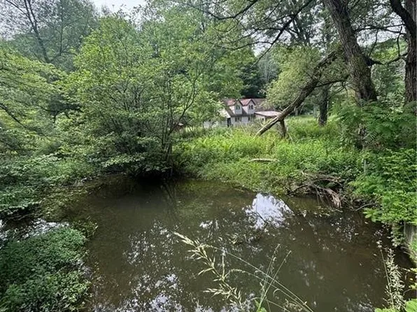 2045 Baxter Mills Rd Lot 29, Hinsdale, NY 14743