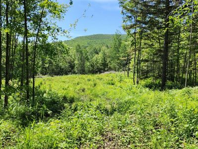 1400 Clark Mountain Road, Newport Center, VT, 05857