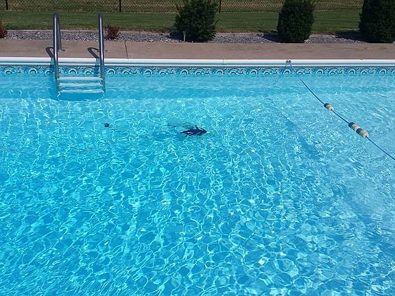 Salt water in ground pool