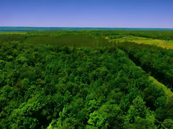 W Highway 8, Carthage, AR 71725