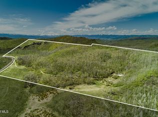 3863 & TBD GCR 41, Granby, CO 80446