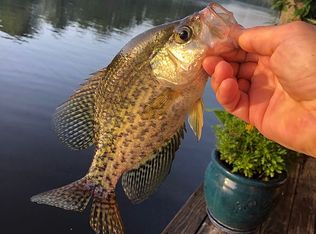 27900 Poche Rd, Springfield, LA 70462