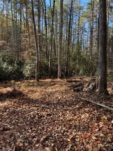 0 Rock Ridge Rd, Murphy, NC, 28906