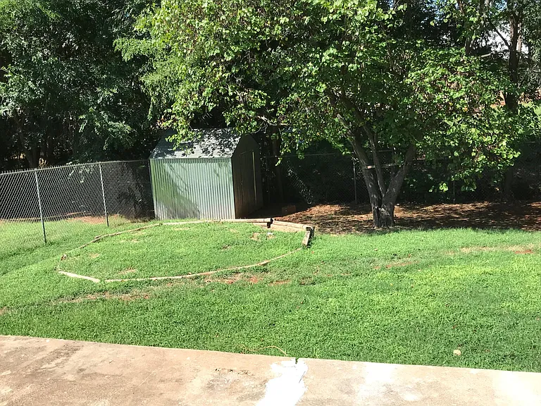 Backyard with storage shed