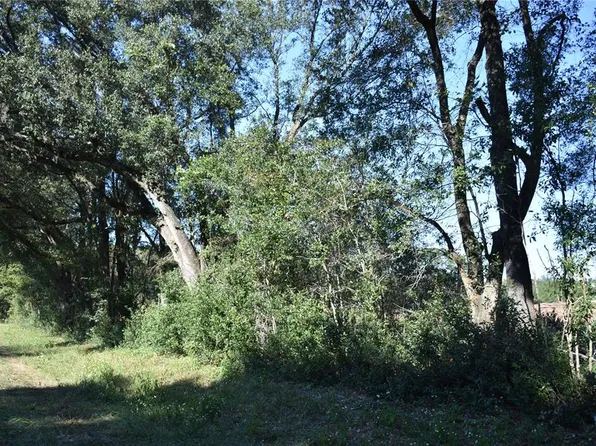 0 SW County Road 241, Archer, FL 32618
