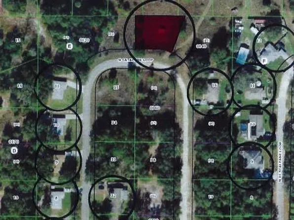 8751 N Catapane Loop, Crystal River, FL 34428